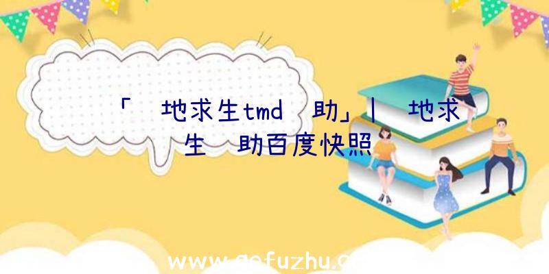 「绝地求生tmd辅助」|绝地求生辅助百度快照